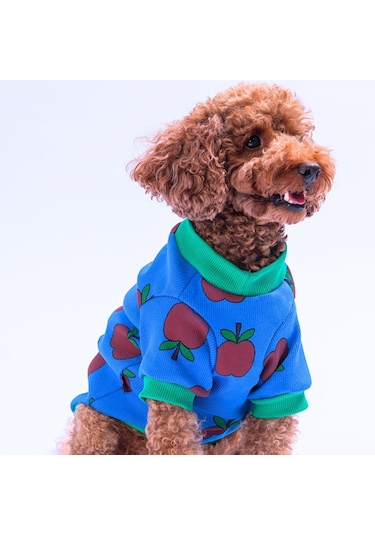 Apple Kaşkorse Elma Desenli Sweat Kedi Köpek Sweat Kedi Köpek Kıyafeti