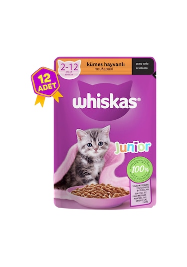 Whiskas Kümes Hayvanlı Pouch Yavru Kedi Konservesi 12 x 85 G