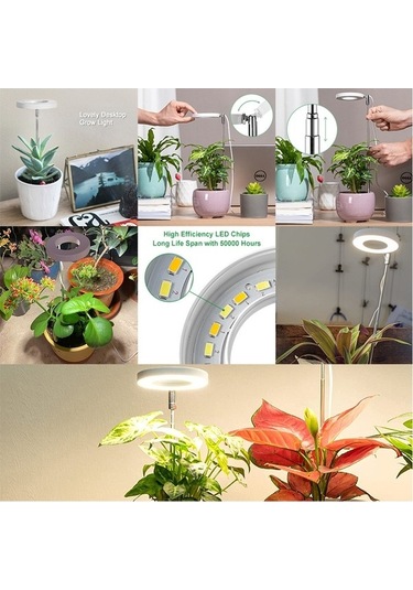 Tongxida 4 Kafa Led Bitki Büyüme Işığı Taklit Güneş Işığı Teleskopik Dolgu Işığı Diğer