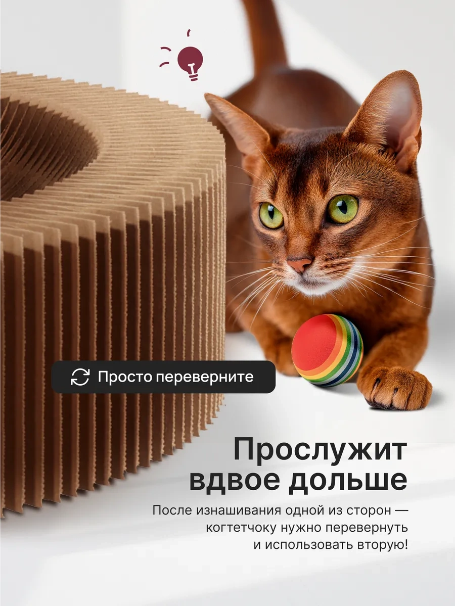 Kogtedralka Kedi Tırmalama Tahtası, Yer Tipi, Top İle, Yer Yatağı, 2 Adet. 316867181