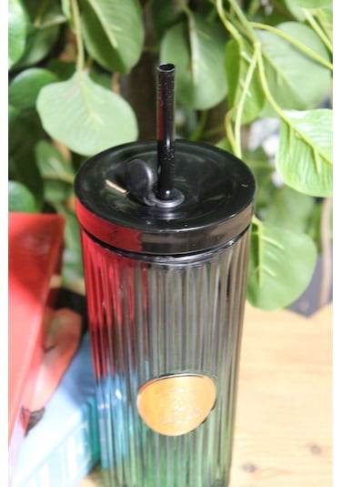 Morponi Pipetli Cam Bardak Tekli Pinterest Model Yeşil 450 Ml Yeşil