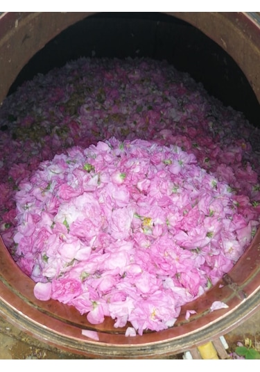 Gülköylü Yağı Alınmamış Isparta Gül Suyu 1 L