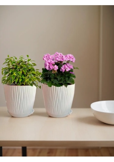 Saburg 3 Litrelik Tablalı Otomatik Sulama Sistemli Saksı Seti 386465069