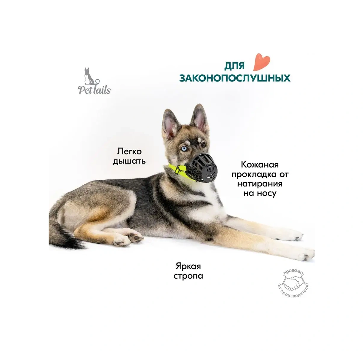 Pettails Siyah Plastik Irk, Küçük, Orta Ve Büyük Köpekler İçin Ağızlık 160448382