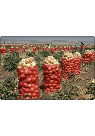 SOĞAN ÇUVALI (25 KİLOLUK) 50 ADET 45*75
