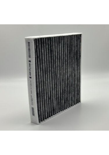 Regato Filter Kia Ev 3 Karbon Kabin/polen Filtresi