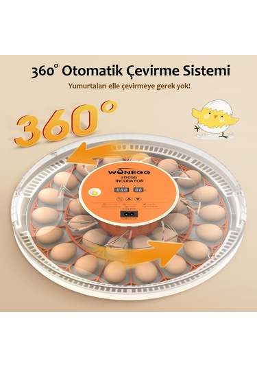 Altın Kuluçka-wonegg 30'lu Otomatik Kuluçka Makinesi