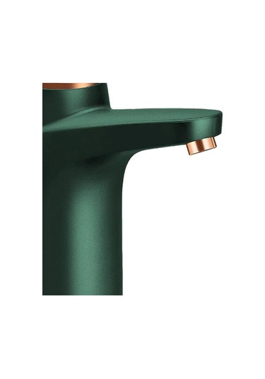 Dinosaurs F Fityle Otomatik Su Pompası Dağıtıcı Şarj Edilebilir Su Içme Pompası Rv Yeşil Ahşap