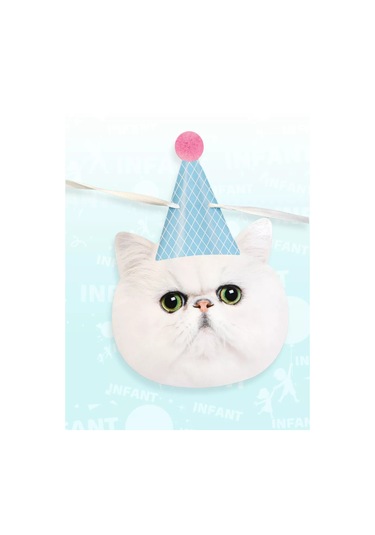 Infant Doğum Günü İçinşapkalı Kedili Bayraklı Işık Zinciri 177976919 Diğer