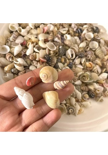 Willowhaven 120g Renkli Mini Reçin El Yapımı Deniz Kabuğu Kum Mix Akvaryum Dekor Dıy Tırnak Sanatı
