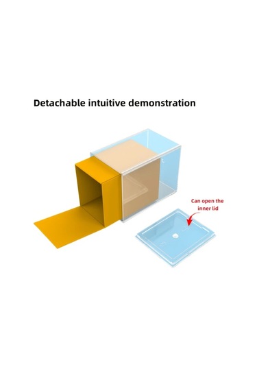Willowhaven 16 Parça Geometrik Şekil Modeli 3d 2d Analiz Eğitim Seti