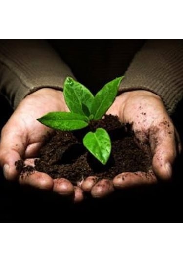 Organik Solucan Gübresi Sıvı Sebze Meyve Ve Süs Bitkileri 1 L.