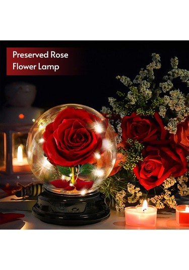 Mufunye Renkli Işık Modlu Cam Kubbede İpek Gül Gece Lambası - Çocuk Odası Dekoru Kırmızı