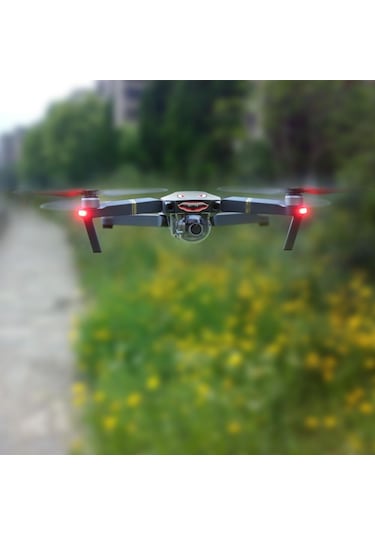 Djı Mavic Pro Kuşkaçıran Vahşi Kanlı Gözler Çıkartma Model7