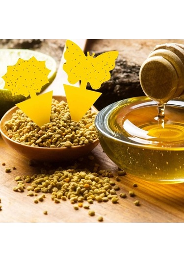 Pazly 20'li Sarı Yapışkan Böcek Tuzağı - Meyve & Mantar Sineklerine Karşı, Uv Dayanıklı, Su Geçirmez, Ev & Bahçe Kullanımı