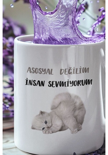 Asosyal Değilim İnsan Sevmiyorum-2-kedi Baskılı Hediyelik Eğlenceli Sevimli Beyaz Kupa Bardak