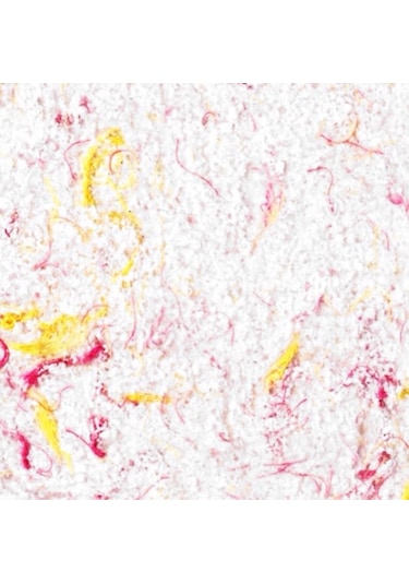 Ipek Sıva (103939805)