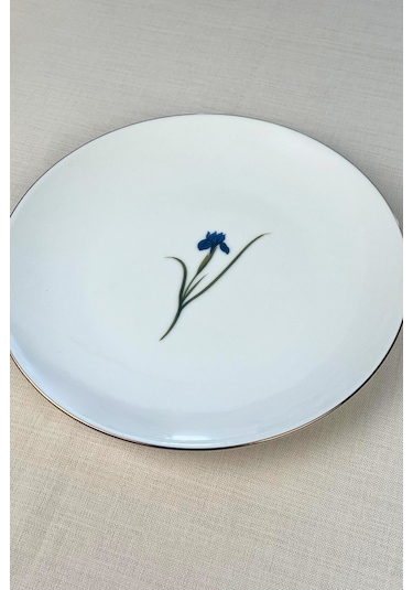 Tabak Evi Porselen Natura Karma Altın Yaldız Servis Tabağı 24,50cm 6 Lı Çok Renkli