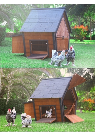 Mandu Ahşap Tavuk Kümesi 10 Tavuk Kapasiteli