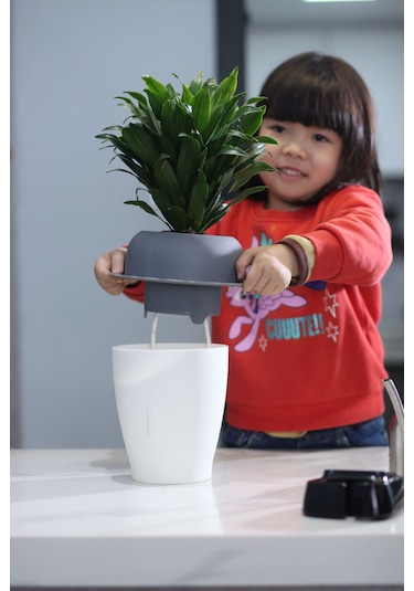 Dekoratif Mini Kendini Sulayan Akıllı Saksı Küçük Boy 19 X 19 X 18 Cm