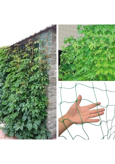 Pazly Dayanıklı Bahçe Filesi Tırmanan Bitkiler İçin 16x6 Ft, Salatalık, Domates, Yeşil Pp Materyal, Pratik Destek