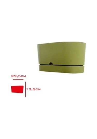 Polıwork Saksı Balkon Begonya 30 Cm Yosun Yeşili