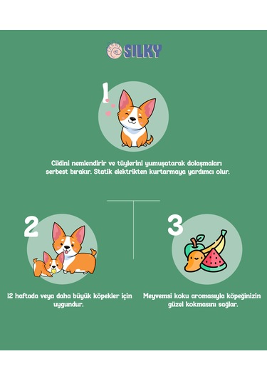 Silky - Köpekler İçin Tüy Parlatıcı Sprey - 100ml