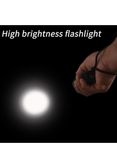 Lichen Köpek Kovucu 3 Modlu Akıllı Yüksek Parlaklıklı El Feneri