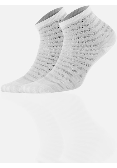 Aytuğ Kadın Modal 5 Çift Özel Kutulu Kısa Konç 33009 Çok Renkli