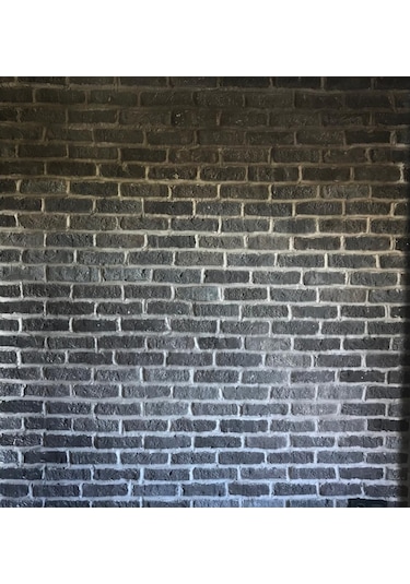 Rönesans Kültür Tuğlası