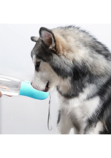 Keyfi Sepet Kilitlenebilen Taşınabilir Evcil Hayvan Suluğu Seyahat Kabı 350 ML