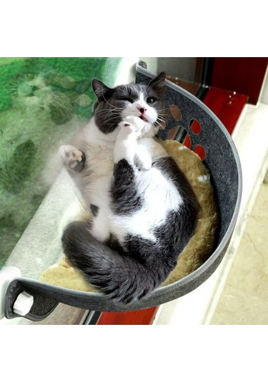 Suntek Küçük Orta Büyük Kediler İçin Kedi Açık-gri