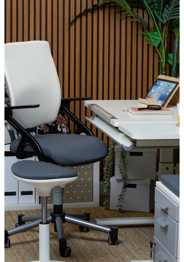 Creo Mobili Yükseklik Ayarlı Vega Plus Çalışma Sandalyesi, Ofis Ve Bilgisayar Koltuğu Beyaz/gri Gri