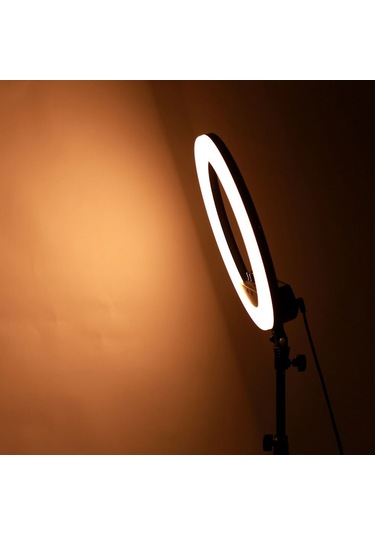 Deyatech 14" 24 W Pro Ring Light + 2 M Stand