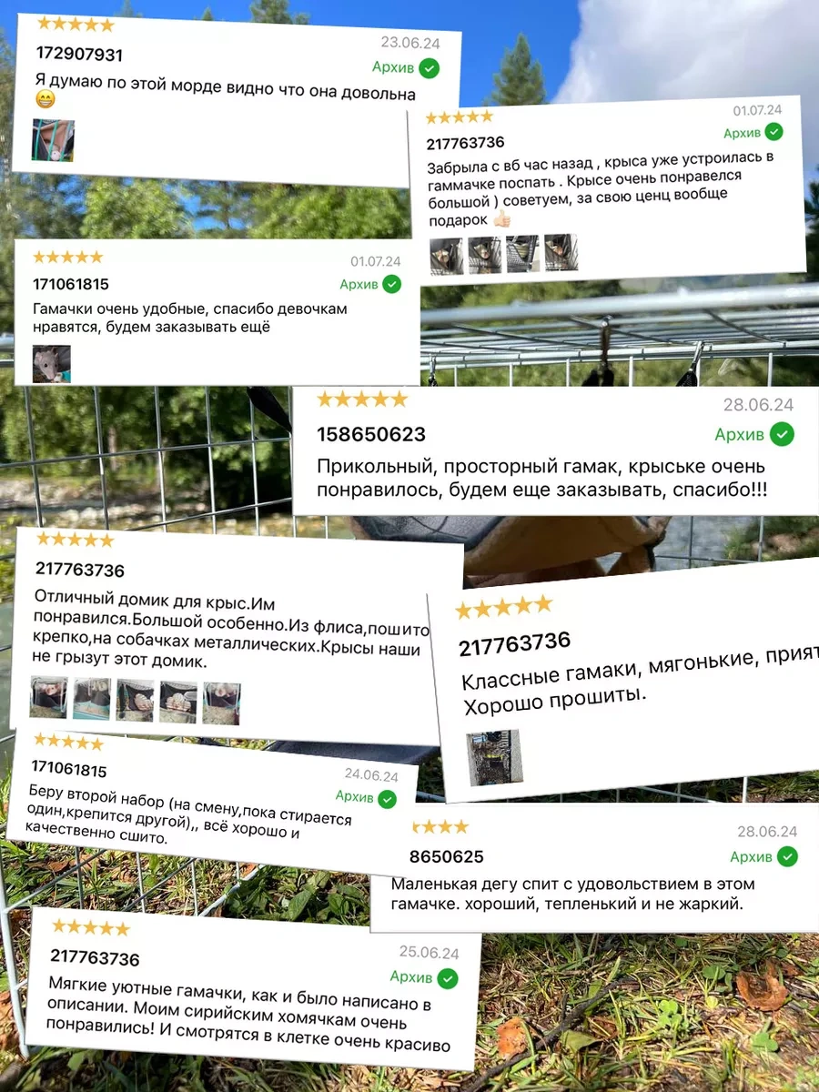 Gryzun Mata Hammock Kareli Ya Da Evcil Hamster, Sıçan, Kemirgenler İçin 172907931