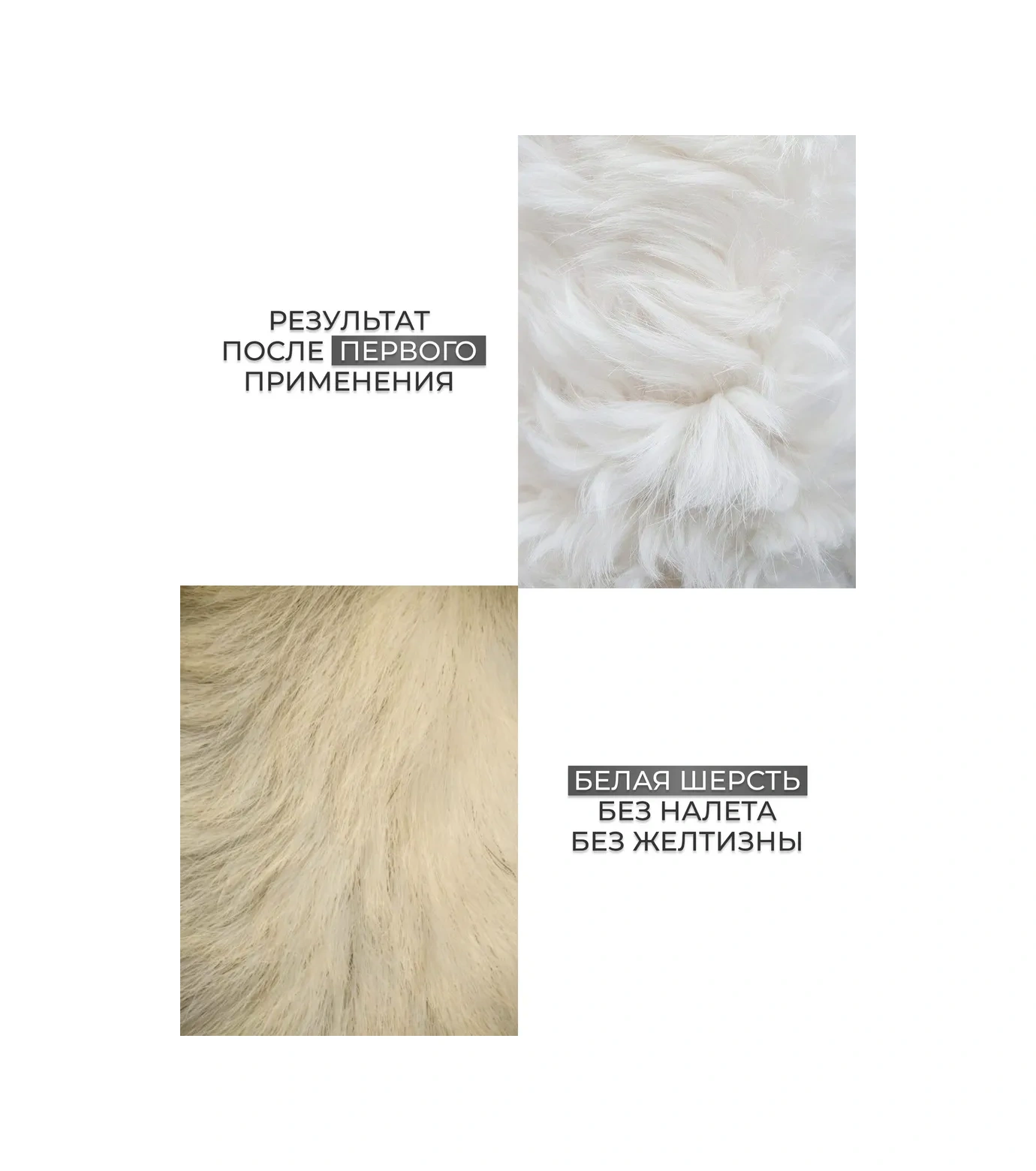 Dogıgo Beyaz Köpekler İçin Sararma Karşıtı Profesyonel Şampuan 223106027