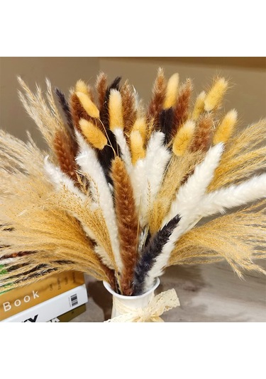 Sıcak Bohem Düğün Evi Kurutulmuş Çiçek Buketi Küçük Kamış Çırpıcı Tavşan Kuyruğu Otu Küçük Pampas Otu 100 Adet 2 Kutu Ambalajıyla