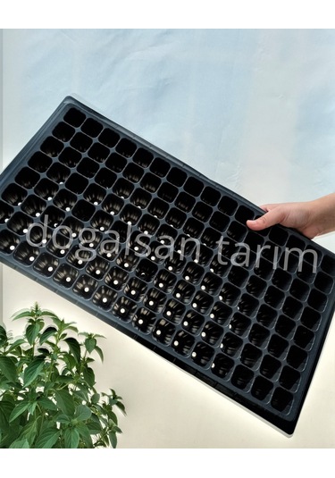 20 Adet Fide Viyol 128 Göz Fide Viyolü Fide Viyolleri Fidelik