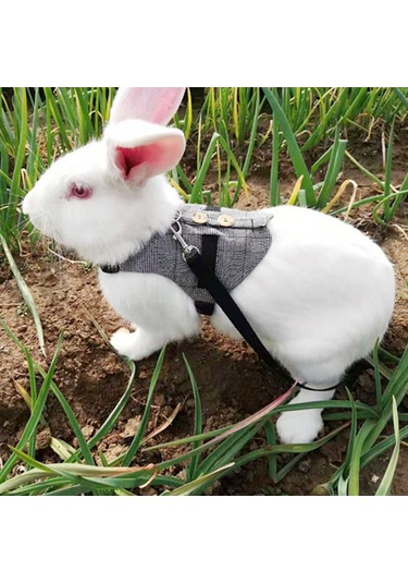 Lemestar Köpek, Tavşan Ve Kedi İçin Pamuklu Kostüm Tasma - S/m/l Boyutları - Boyun Ve Göğüs Ölçümleriyle