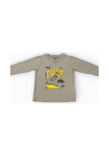 Divonette Erkek Çocuk Dinazor Baskılı Uzun Kollu T-shirt-15088 Gri