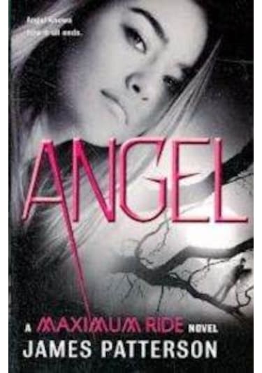Angel (Maximum Ride 7)