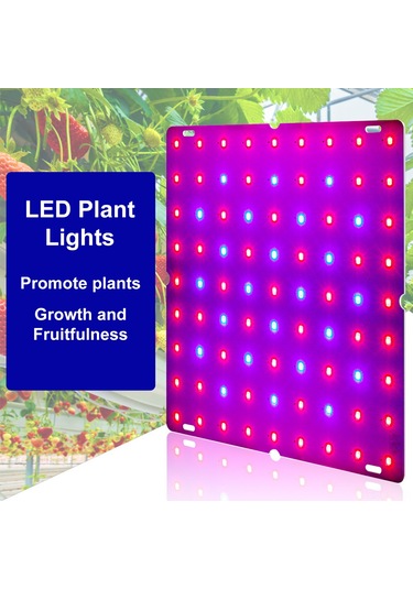 Dofolink 169 Led Kırmızı-mavi Spektrum Bitki Büyüme Lambası, İç Mekan Fide Yetiştirme Işığı, 100-277v, 12w Avrupa Standartı Şarj Aleti Diğer