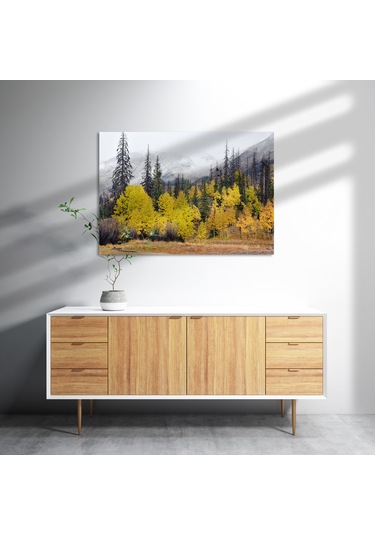 Cakasepetim Sonbahar Rengi Ağaçlar Ve Arkada Karlı Dağlar Ahşap Mdf Tablo