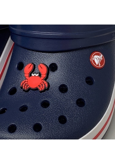 Crocs Terlik Süsü & Renkli Aksesuar Jibbitz (475023217)