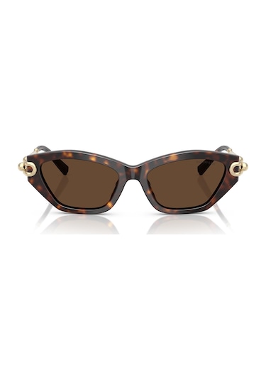 Tiffany Tf4231u 80153g 53 Kadın Güneş Gözlüğü Kahverengi