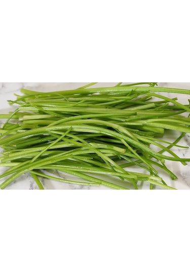 Kaldirik Hoda Ispıt Otu Sapı 500 G