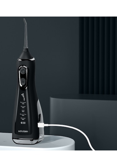 Lichen Elektrikli Su Diş İpi, Elde Taşınabilir Su Diş İpi, Ev