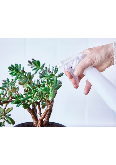 Bahçe Bakımı İçin 350ml Çok Amaçlı Spreyli Şeffaf Sulama Şişesi