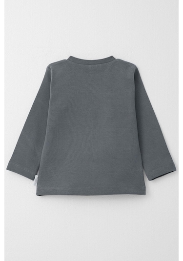 Breeze Erkek Çocuk Uzun Kollu Tişört Basic 1-4 Yaş, Gri-gri Gri