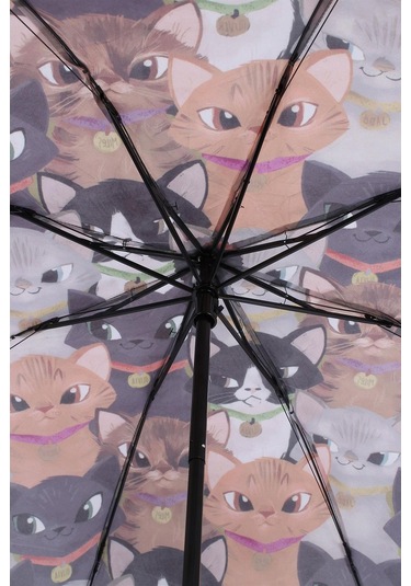 Newdaki Kedi Desenli 8 Telli Manuel Şemsiye Çok Renkli